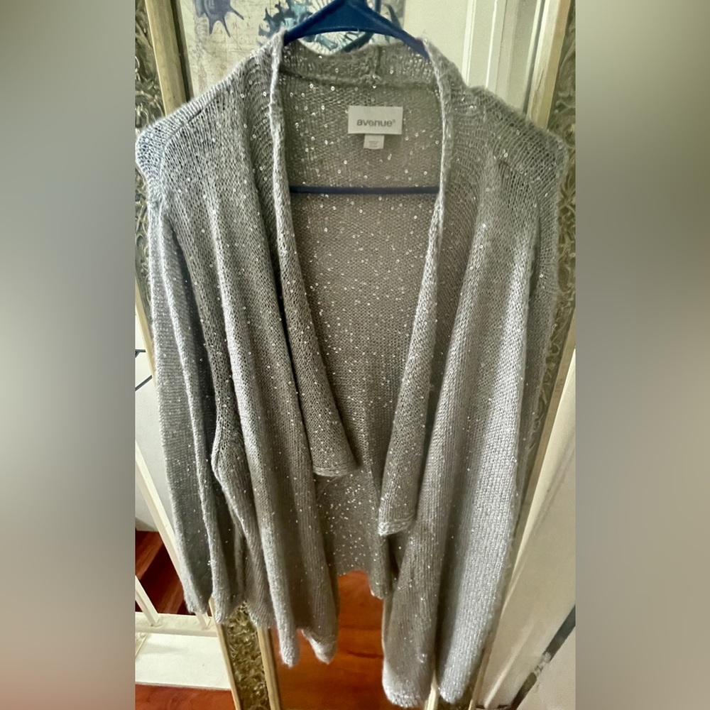 Silver sparkly sweater. Avenue 2x